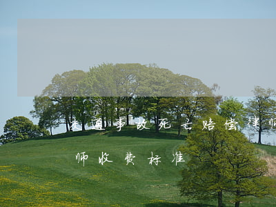 交通事故死亡赔偿律师收费(车祸死亡赔偿律师收费标准)