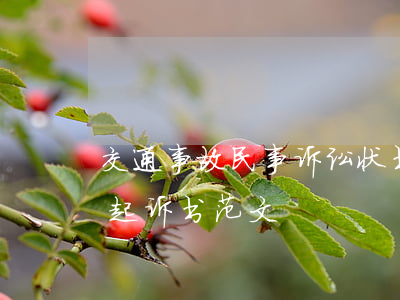 交通事故民事诉讼状书的范文(交通事故诉讼起诉书范文)