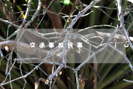 交通事故民事賠償無(wú)力償還的多嗎