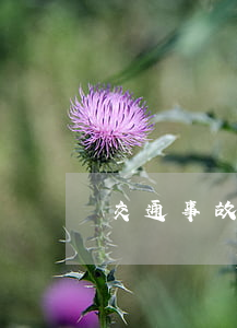 交通事故江壩(阿壩州交通事故)