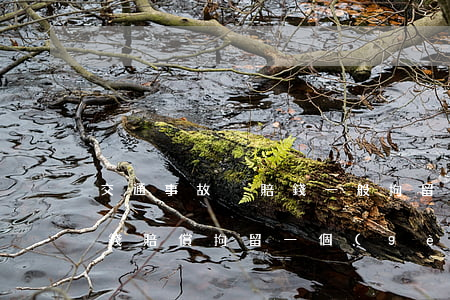 交通事故沒賠錢一般拘留幾天(交通事故沒有錢賠償拘留一個(gè)月是正常的嗎)