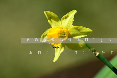 交通事故法律法規(guī)(交通事故法律法規(guī)大全書(shū))