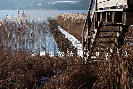 交通事故法規(guī)大全