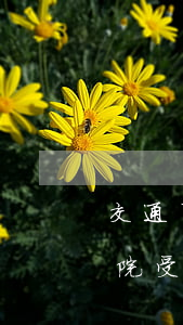 交通事故法院可以受理嗎(交通小事故起訴法院受理嗎)