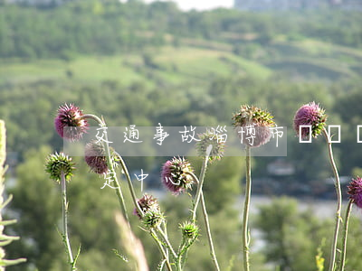 交通事故淄博市傷殘鑒定流程(淄博市傷殘鑒定中心)