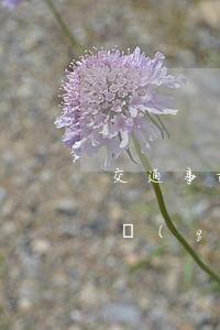 交通事故無(wú)責(zé)一方如何申請(qǐng)賠償(車禍無(wú)責(zé)任方可以獲得哪些賠償)