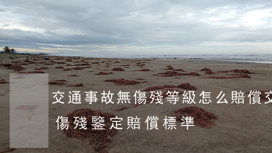 交通事故無傷殘等級怎么賠償(交通事故各級傷殘鑒定賠償標準)