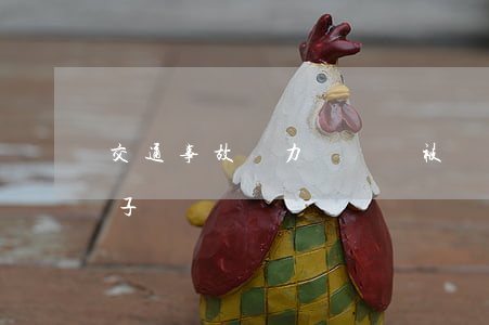 交通事故無力償還會被執(zhí)行一輩子嗎