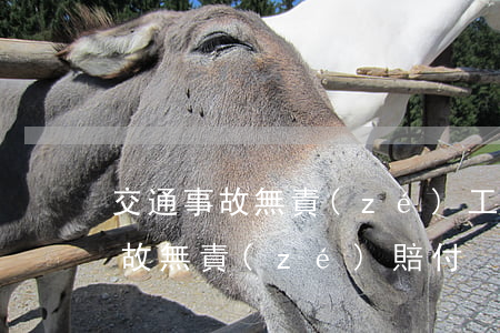 交通事故無責(zé)工傷如何賠償，交通事故無責(zé)賠付