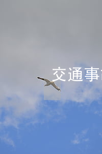 交通事故營養(yǎng)費是否需要鑒定