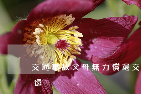 交通事故父母無力償還(交通事故父母無力償還)