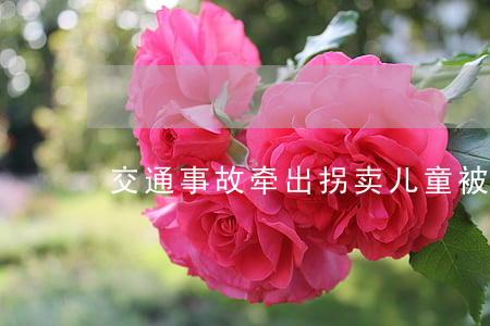 交通事故牵出拐卖儿童(被拐卖儿童的结果)