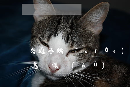 交通事故現(xiàn)場(chǎng)怎樣保護(hù)