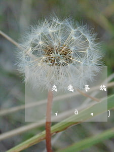 交通事故現(xiàn)場(交通事故現(xiàn)場處置步驟)