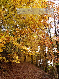 交通事故理賠(交通事故理賠有時(shí)間限制嗎)