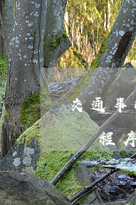 交通事故理賠程序(發(fā)生交通事故理賠程序)