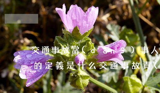 交通事故當(dāng)事人責(zé)任的定義是什么,交通事故責(zé)任怎么劃分