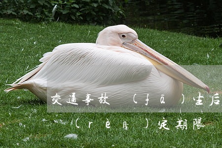 交通事故發(fā)生后交警隊(duì)認(rèn)定期限