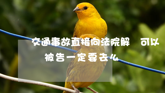 交通事故直接向法院解決可以嗎(交通事故訴訟被告一定要去么)