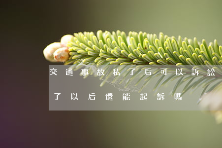交通事故私了后可以訴訟嗎(如果交通事故私了,以后還能起訴嗎)