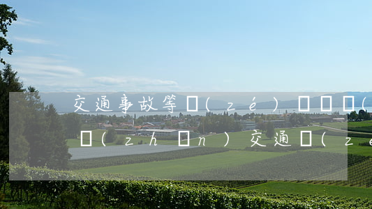 交通事故等責(zé)賠償標(biāo)準(zhǔn)(交通責(zé)任事故賠償標(biāo)準(zhǔn))
