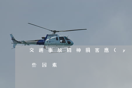 交通事故精神損害應(yīng)該考慮哪些因素