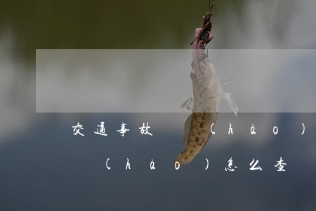 交通事故編號(hào)怎么看(汽車事故編號(hào)怎么查詢)