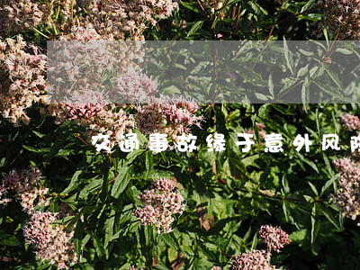 交通事故缘于意外，风险责任由谁承担？