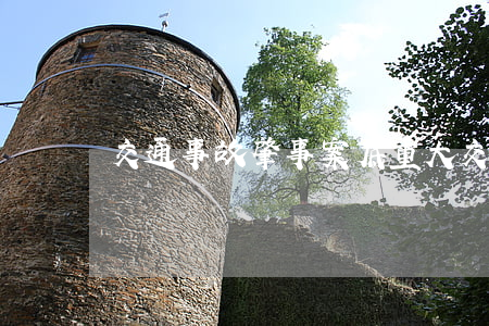 交通事故肇事案底(重大交通事故有案底吗)