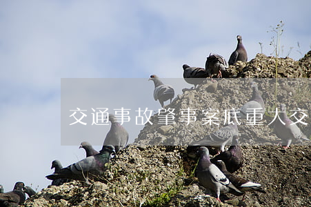 交通事故肇事案底(重大交通事故有案底嗎)