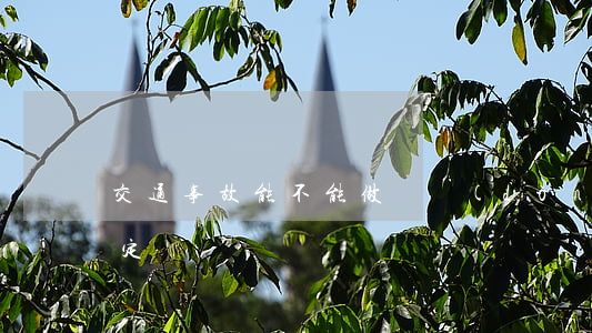 交通事故能不能做勞動(dòng)能力鑒定