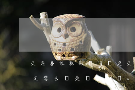 交通事故能做傷情鑒定(交通事故傷情鑒定是交警去還是當(dāng)事人去)