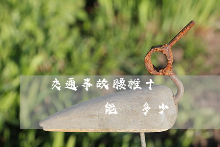 交通事故腰椎十級傷殘賠多少錢(交通骨折十級傷殘能賠多少錢)