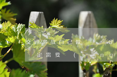交通事故自己做傷殘鑒定需要嗎(車禍做傷殘鑒定需要經(jīng)過交警嗎?)
