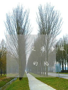 交通事故自稱律師騙局(交通事故請律師注意的陷阱)