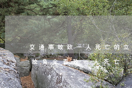 交通事故致一人死亡的立案了怎么辦(交通事故負全責致一人死亡)