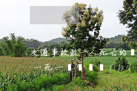 交通事故致一人死亡的賠償多少錢(交通事故一死一傷賠償標(biāo)準(zhǔn))