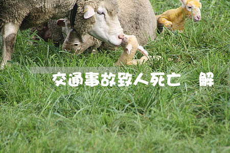 交通事故致人死亡諒解費一般多少錢