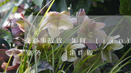 交通事故致殘如何進(jìn)行鑒定(交通意外傷殘鑒定咋做)
