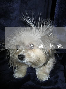 交通事故處理