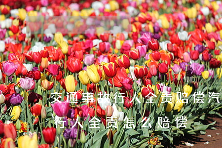 交通事故行人全责赔偿(汽车和行人发生事故行人全责,怎么赔偿)