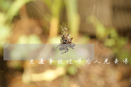 交通事故被保险人无责,保险公司被判赔偿