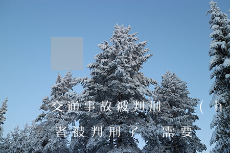 交通事故被判刑還會(huì)賠償嗎(肇事者被判刑了還需要賠償嗎)