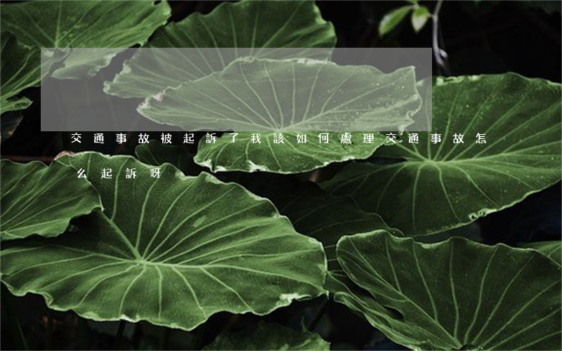 交通事故被起訴了我該如何處理(交通事故怎么起訴呀)