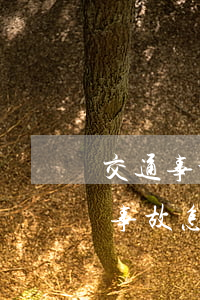 交通事故訴訟費(fèi)多少錢(出了交通事故怎么起訴,訴訟費(fèi)多少錢)