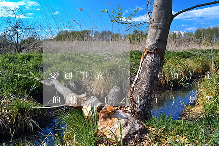 交通事故認(rèn)定復(fù)核工作的性質(zhì)是怎樣的