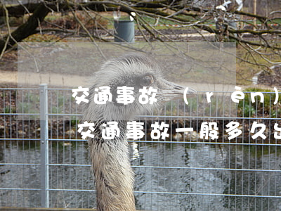 交通事故認(rèn)定書(shū)要催(交通事故一般多久出責(zé)任通知書(shū))