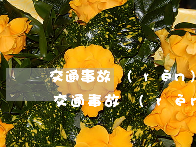 交通事故認(rèn)定書下來怎么談賠償(交通事故認(rèn)定書下來怎么談賠償)