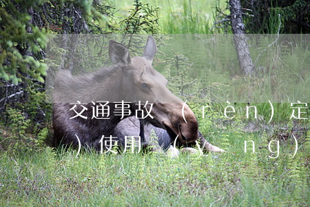 交通事故認(rèn)定書作為證據(jù)使用應(yīng)注意哪些問題