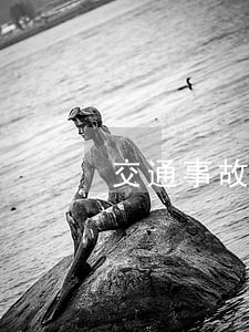 交通事故認定的可訴性研究
